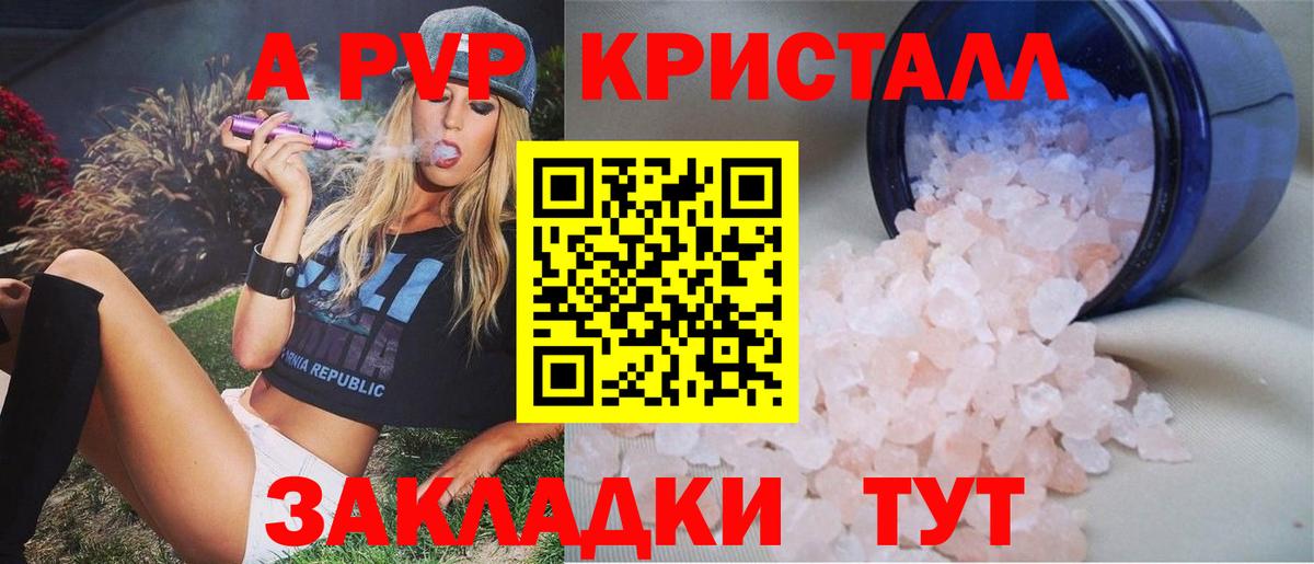 Alfa_PVP СК КРИС Гудермес