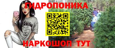 соль ск Лесосибирск