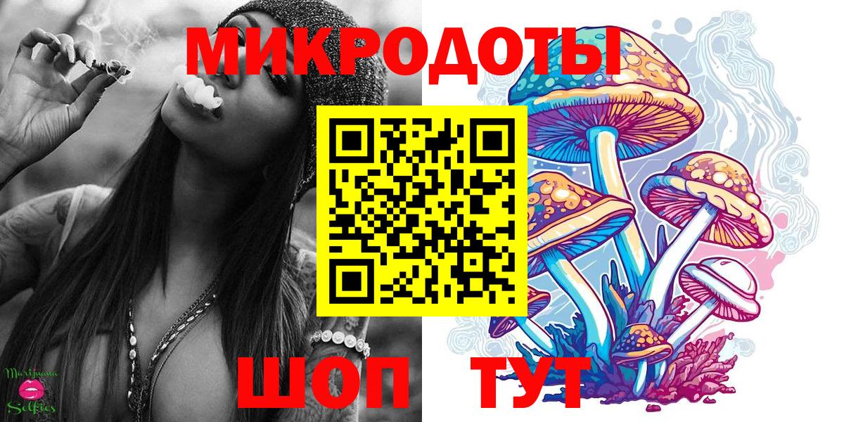 Галлюциногенные грибы Psilocybine cubensis Гудермес