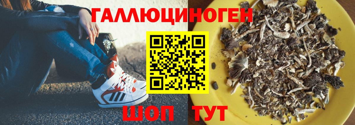Гудермес  Псилоцибиновые грибы GOLDEN TEACHER  Вход с VPN  Галлюциногенные грибы Psilocybine cubensis 