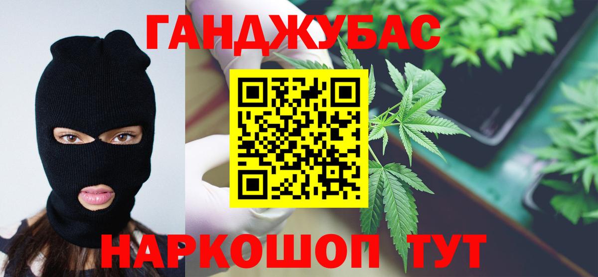 Конопля сатива Гудермес